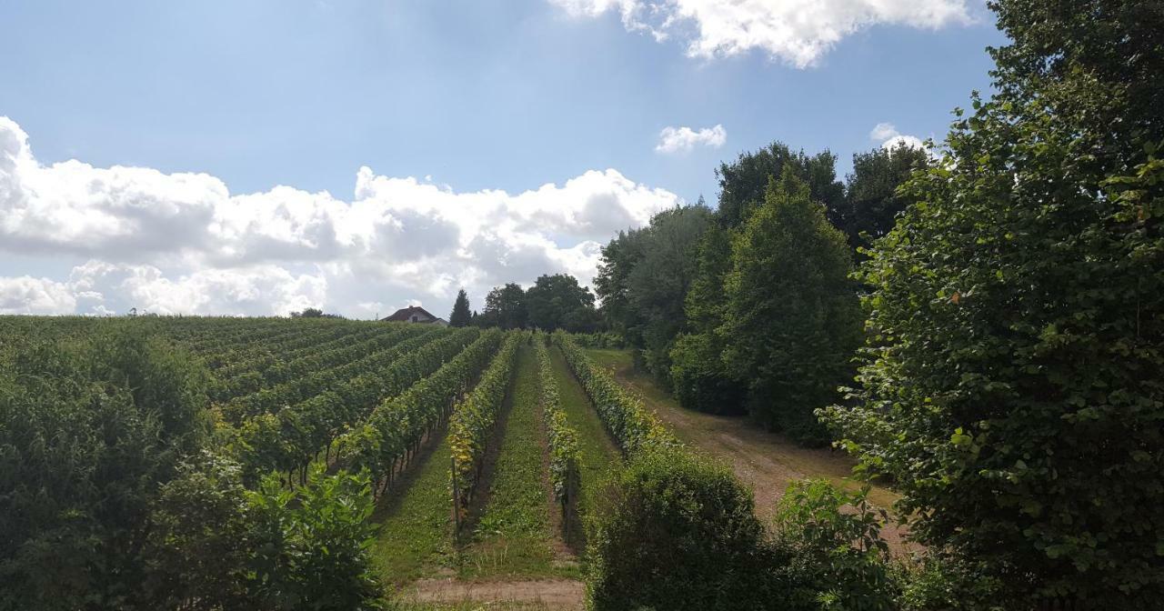 Naehe Mainz - Ferienwohnung - Apartment Breivogel In Wörrstadt Dış mekan fotoğraf